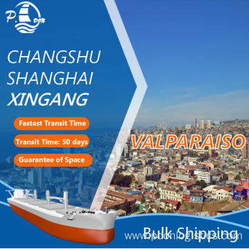 Bulk Shipping From Shanghai To Valparaiso